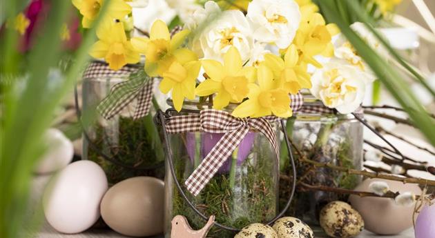 Ein buntes Osterfest lockt mit passenden Frühlingsblumen
