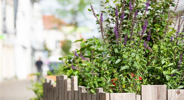 Urban Gardening – selbst in der Stadt ist Platz zum Gärtnern