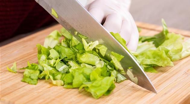 Barfen - Salat schneiden