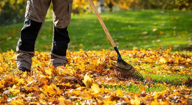 Gartenarbeit im Herbst – Das ist jetzt wichtig