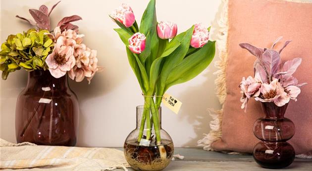 Muttertag - Tulpen mit Zwiebeln im Ambiente