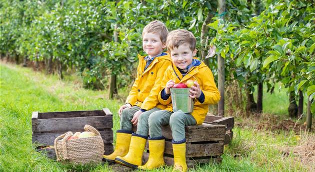 Apfelernte- Kinder sitzen auf Apfelkiste