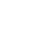 greensolutions_source-icons_CACTUS.png