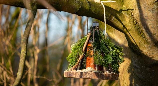 Ein Vogelhaus aus dem Tannenbaum bauen