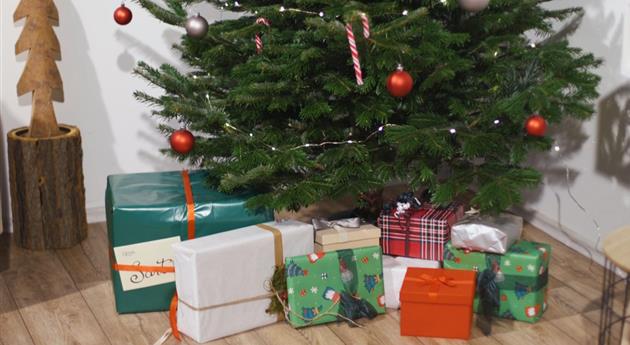 Den Weihnachtsbaum festlich dekorieren