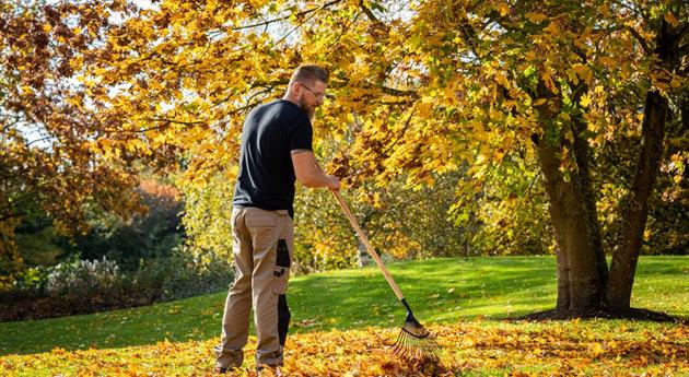 Gartenarbeit im September: Der Herbst beginnt mit bunten Farben