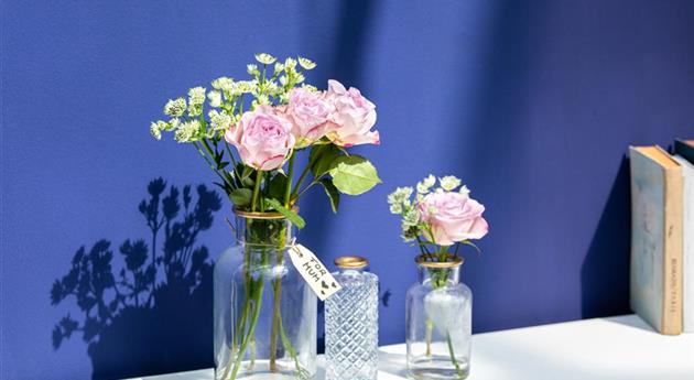 Muttertag - Blumen in Vasen 