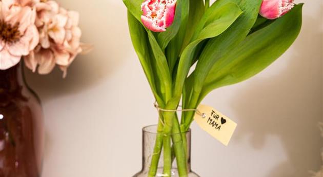 Muttertag - Tulpen mit Zwiebeln im Ambiente