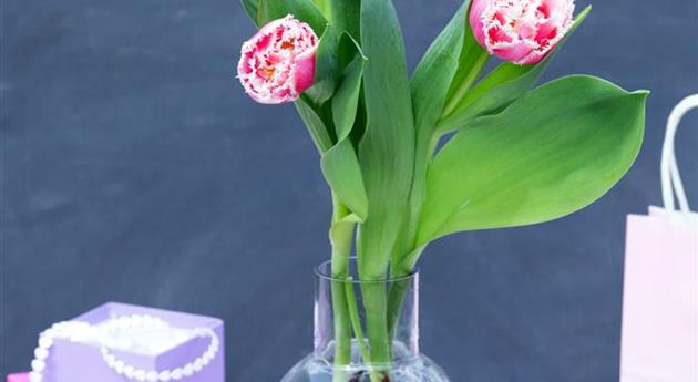 Muttertag - Tulpen im Ambiente