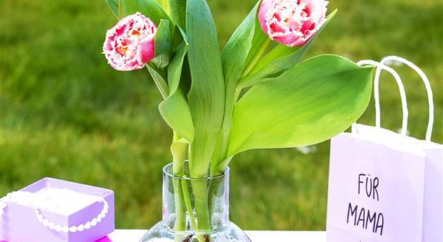Muttertag - Tulpen im Ambiente